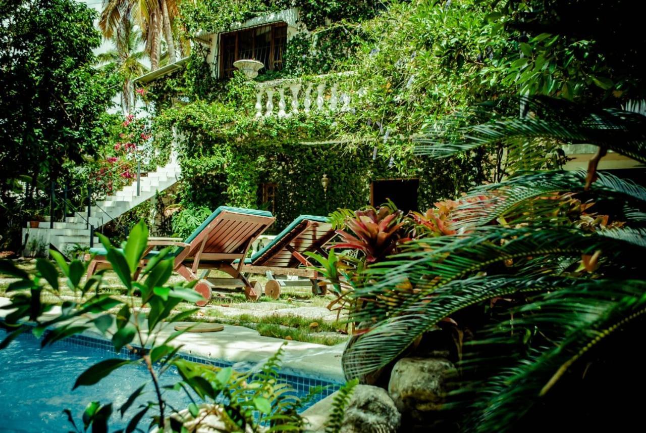 Villa Carolina Bed And Breakfast Puerto Plata Dış mekan fotoğraf