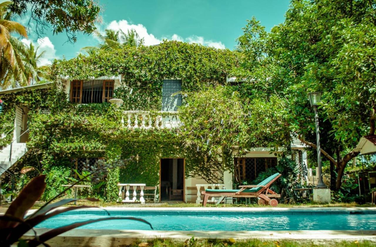 Villa Carolina Bed And Breakfast Puerto Plata Dış mekan fotoğraf