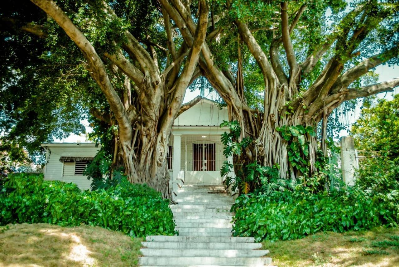 Villa Carolina Bed And Breakfast Puerto Plata Dış mekan fotoğraf