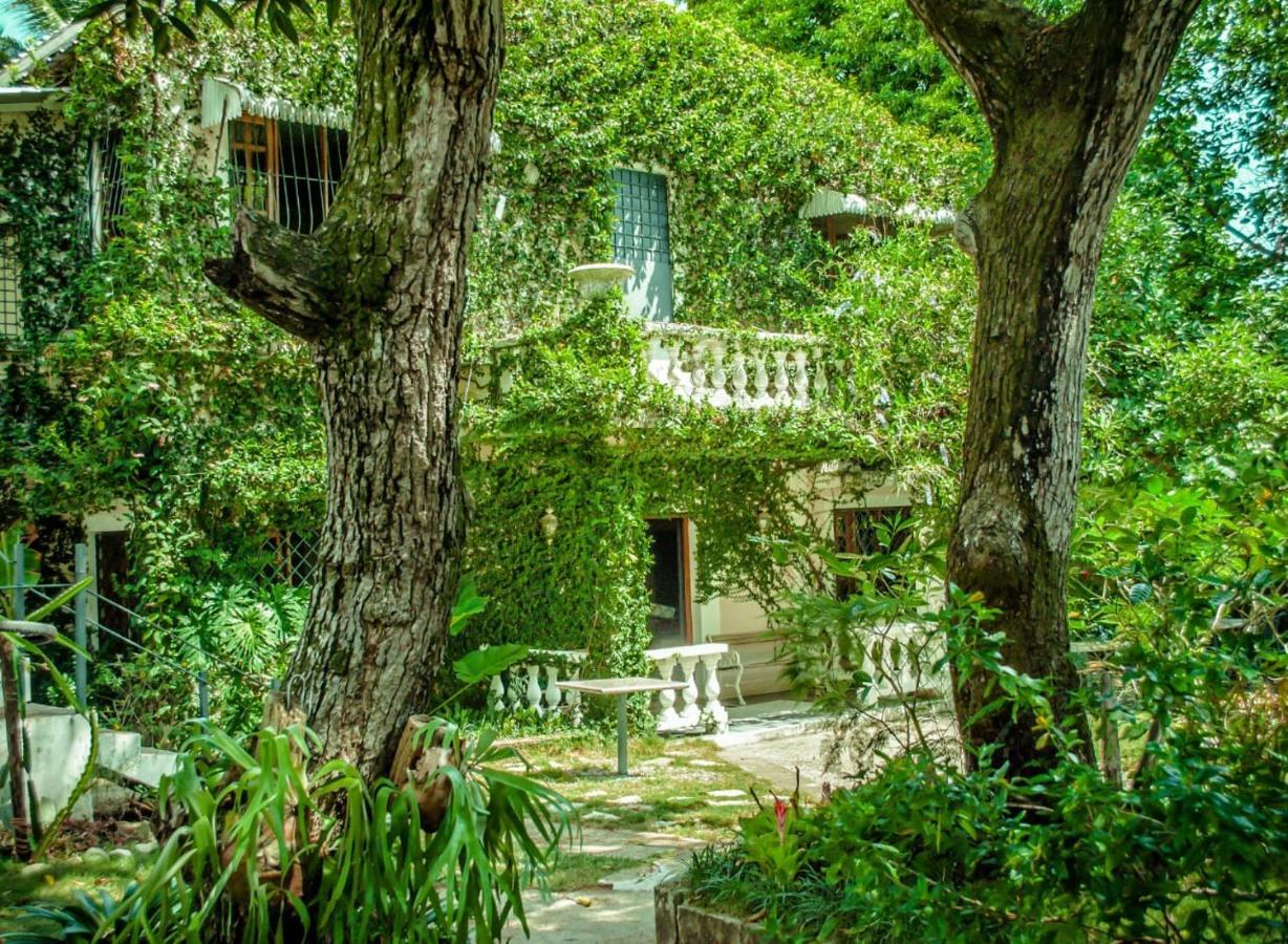 Villa Carolina Bed And Breakfast Puerto Plata Dış mekan fotoğraf