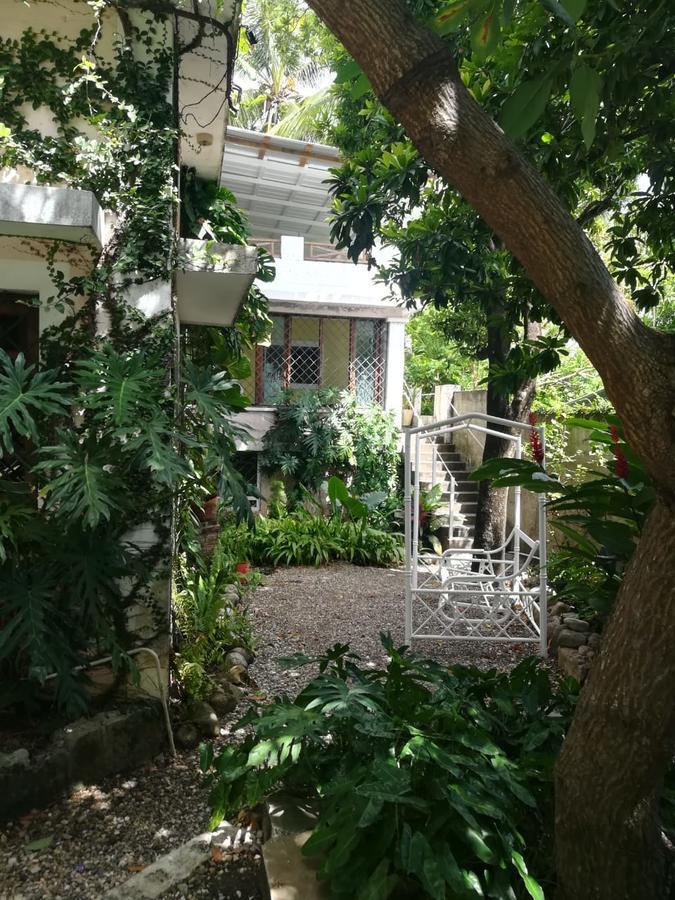 Villa Carolina Bed And Breakfast Puerto Plata Dış mekan fotoğraf
