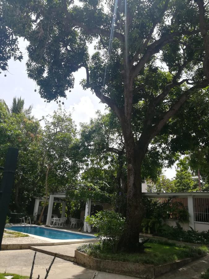 Villa Carolina Bed And Breakfast Puerto Plata Dış mekan fotoğraf