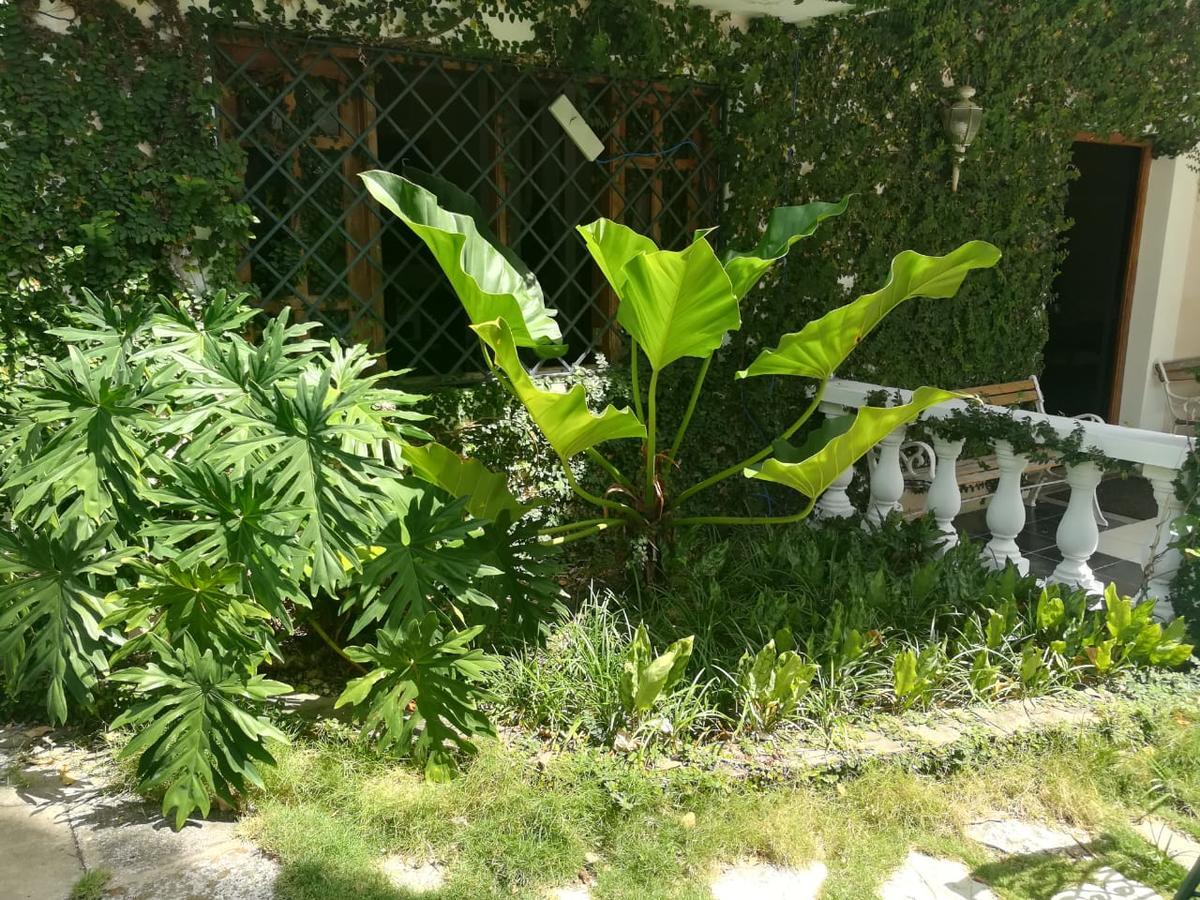 Villa Carolina Bed And Breakfast Puerto Plata Dış mekan fotoğraf